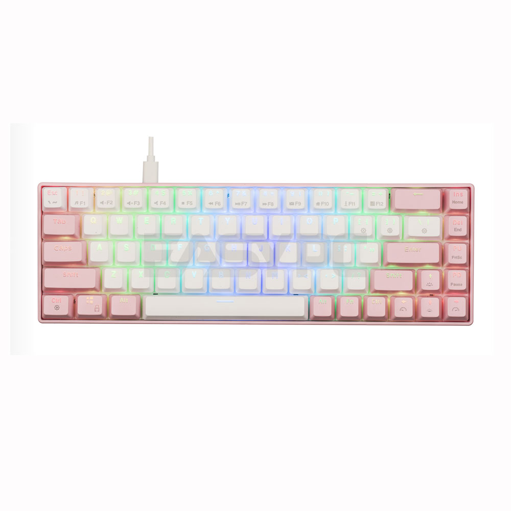 RAKK DIWA Outemu Blue/Red Mecahnical Gaming Keyboard Pink/White, Black/Grey| Rakk Dasig Wireless Gaming Mouse Pink